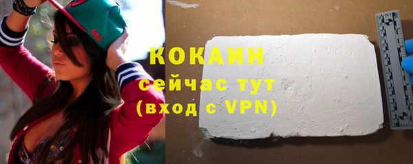 соль ск Алзамай