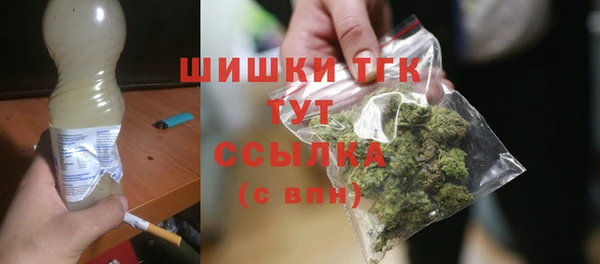 соль ск Алзамай