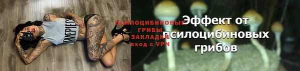 хмурый Алексеевка