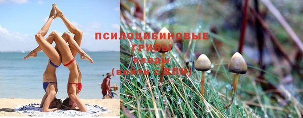 соль ск Алзамай