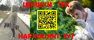 Альфа ПВП Пушкино