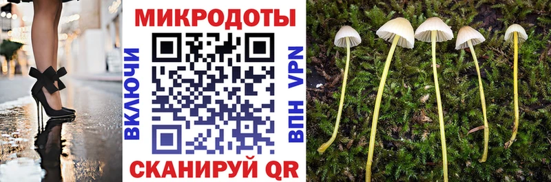 omg рабочий сайт Саянск сайты даркнета телеграм Псилоцибиновые грибы Psilocybe