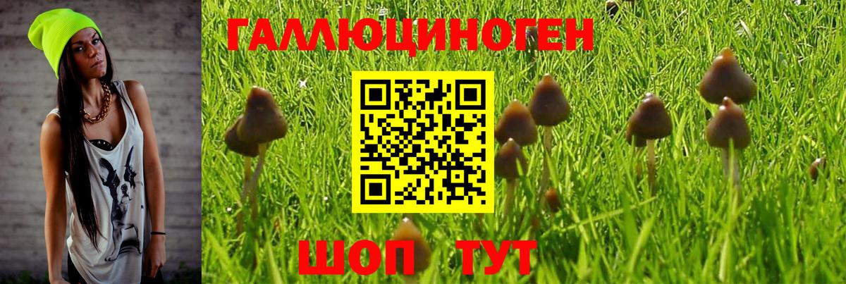 Галлюциногенные грибы Magic Shrooms  Вход с VPN  Псилоцибиновые грибы мухоморы  Саянск 
