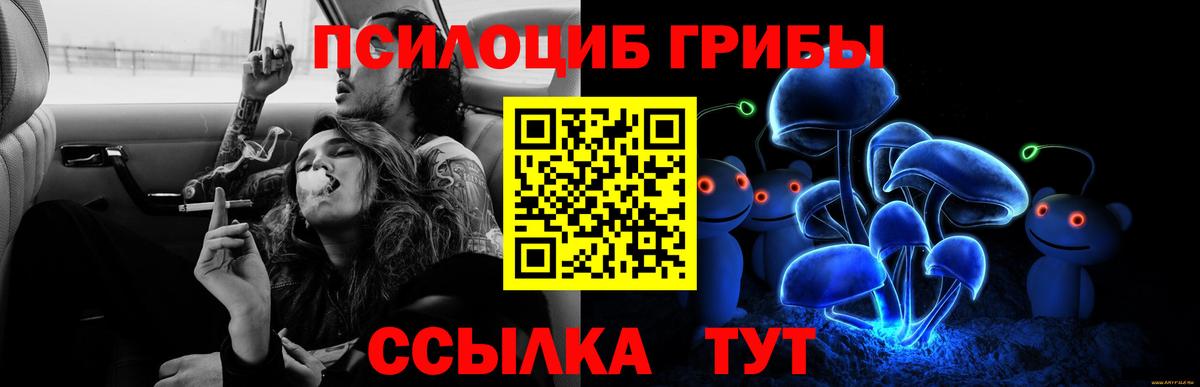 Галлюциногенные грибы ЛСД Саянск